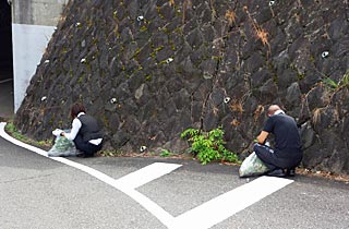 地域清掃