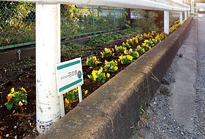 厚木市道路里親制度