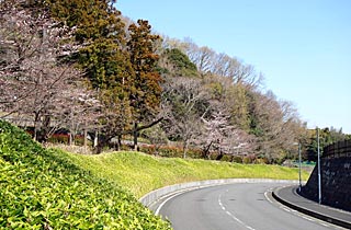 厚木市斎場施設見学会